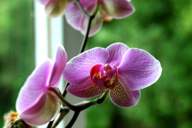 Image Hosted by PicturePush - Photo Sharing