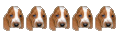 Vip dog Vip dog