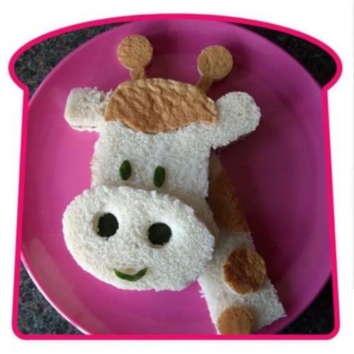 Image Hosted by PicturePush