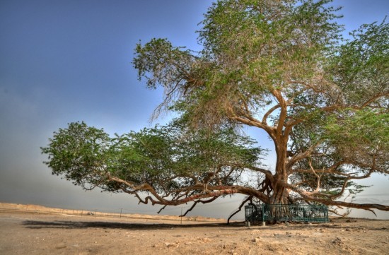 Image Hosted by PicturePush - Photo Sharing