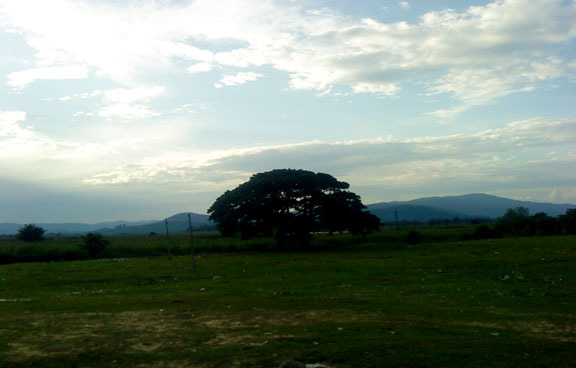 Image Hosted by PicturePush - Photo Sharing