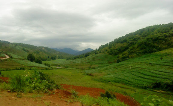 Image Hosted by PicturePush - Photo Sharing
