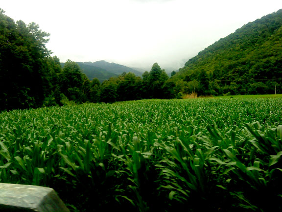 Image Hosted by PicturePush - Photo Sharing