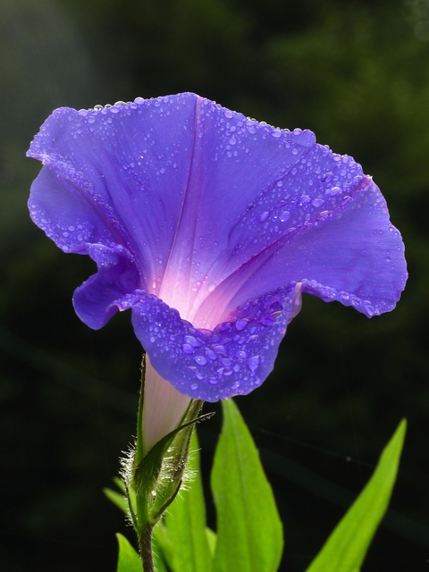 Image Hosted by PicturePush - Photo Sharing