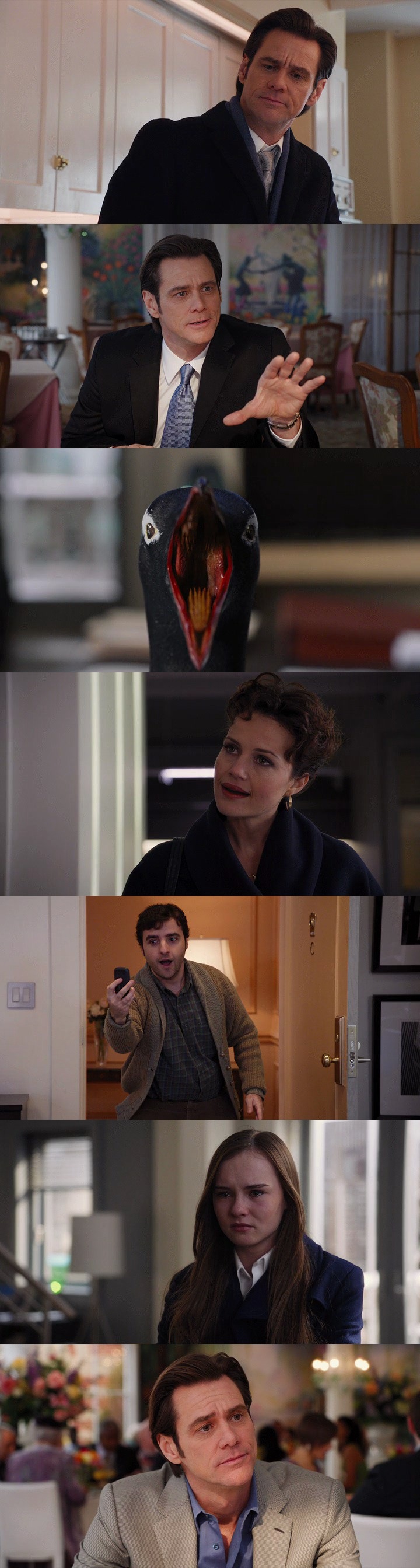 Mr.Poppers.Penguins.BrRip.Xvid.Audio.Lati000000.jpg
