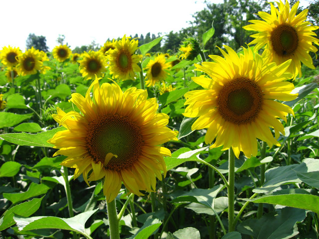 Image Hosted by PicturePush - Photo Sharing
