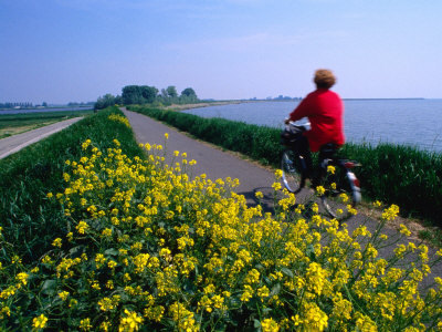 Image Hosted by PicturePush - Photo Sharing
