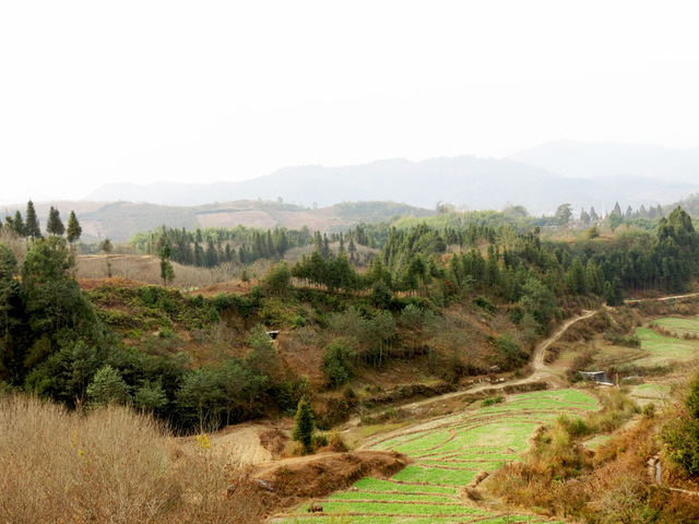 Image Hosted by PicturePush - Photo Sharing