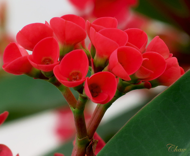 Image Hosted by PicturePush - Photo Sharing