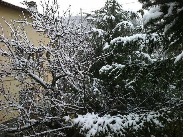 29 Gennaio 12 Bentornato Inverno