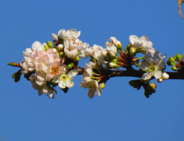Image Hosted by PicturePush - Photo Sharing