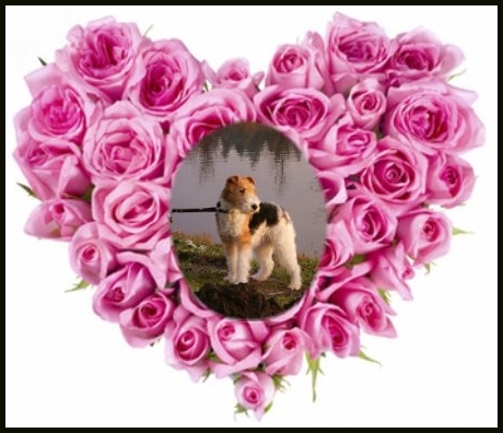 Image Hosted by PicturePush - Photo Sharing