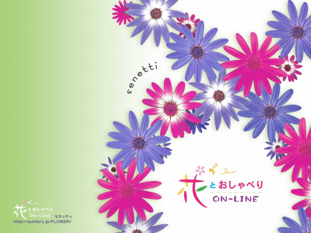 『花卉』桌布６