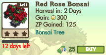 8527669 Limited Edition Bonsai Trees: Red Rose & Rhododendron!