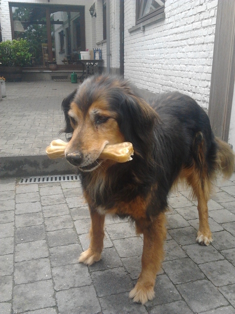 Afbeelding