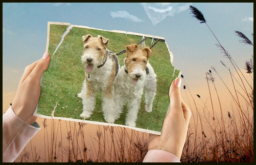 Image Hosted by PicturePush - Photo Sharing