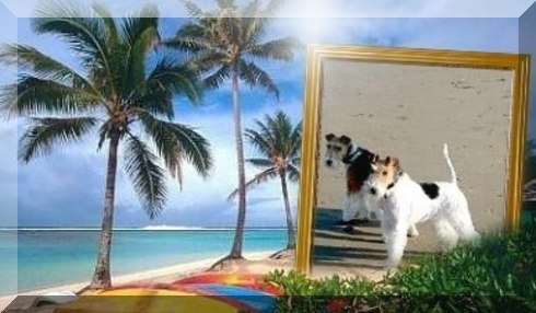 Image Hosted by PicturePush - Photo Sharing
