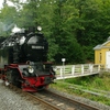 T03262 996001 Alexisbad - 20120906 Harz