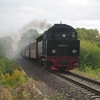 T03300 996001 Gernrode - 20120911 Harz