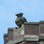 P1080768 - historischamsterdam