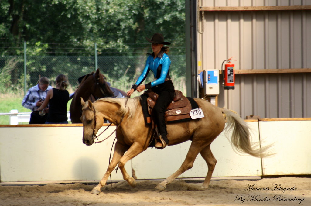 Afbeelding 017kopie - 