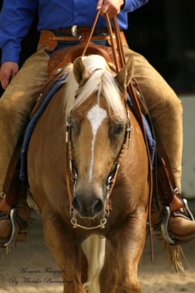 Afbeelding 044kopie - 