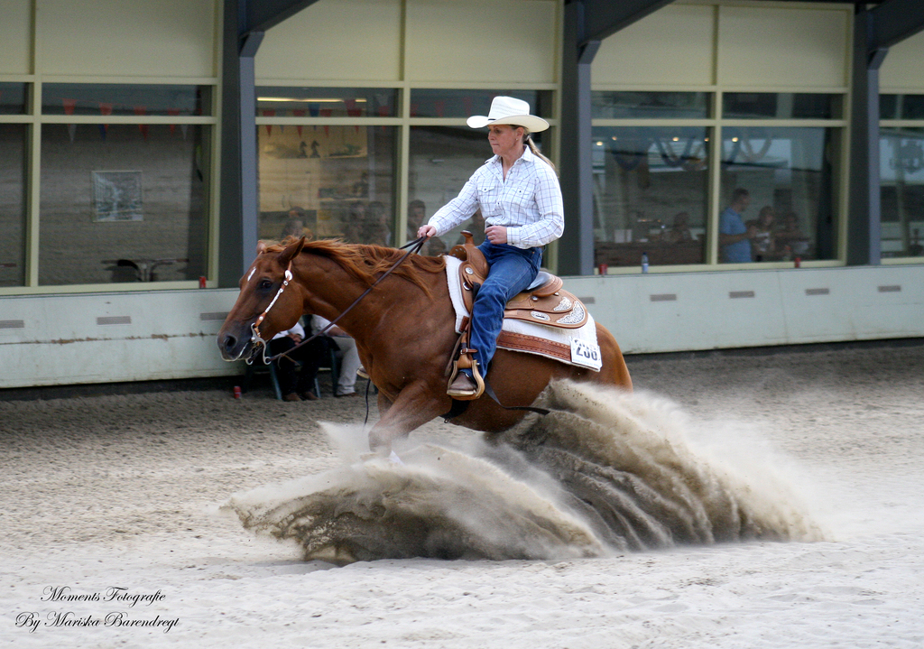 Afbeelding 084kopie - 