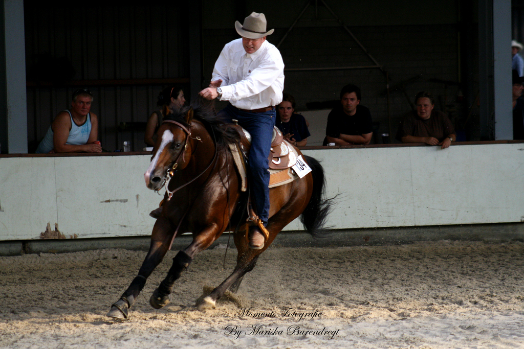 Afbeelding 100kopie - 