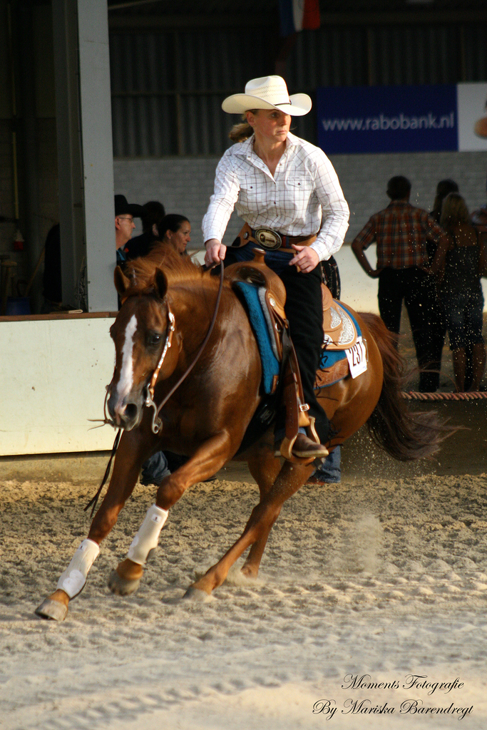 Afbeelding 116kopie - 