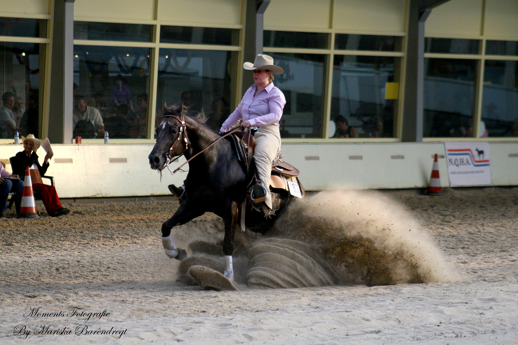 Afbeelding 124kopie - 