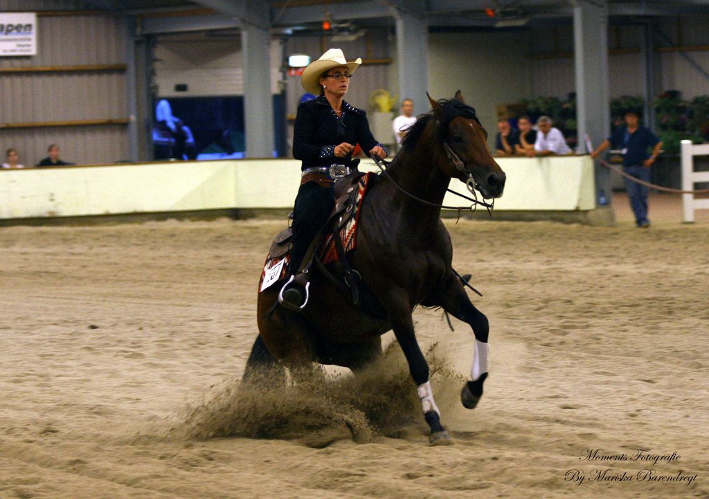 Afbeelding 188kopie - 