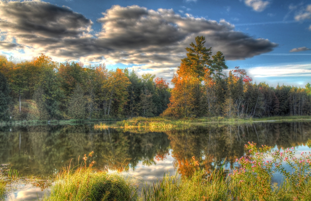 Pond Island HDR - 