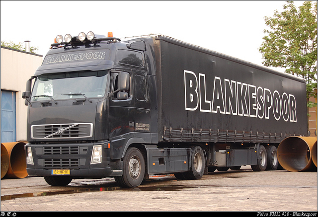 DSC 9521-border Blankespoor - Apeldoorn