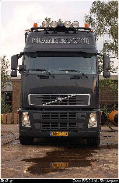 DSC 9524-border Blankespoor - Apeldoorn