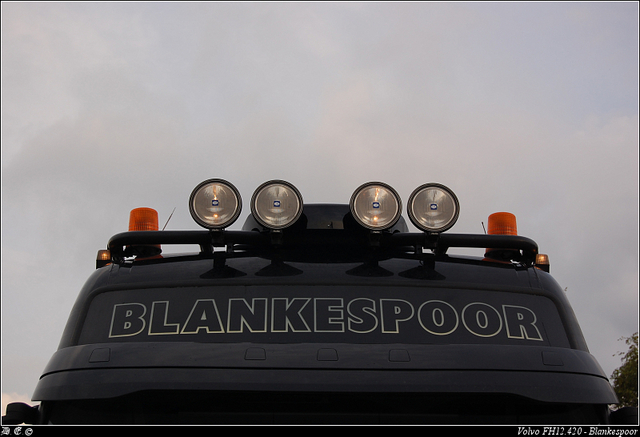 DSC 9530-border Blankespoor - Apeldoorn