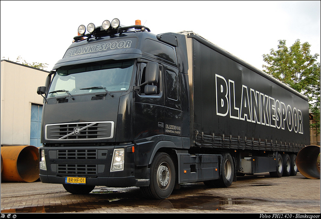 DSC 9539-border Blankespoor - Apeldoorn