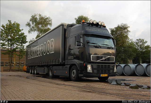 DSC 9561-border Blankespoor - Apeldoorn