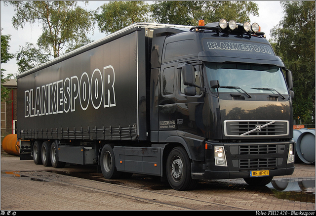 DSC 9567-border Blankespoor - Apeldoorn