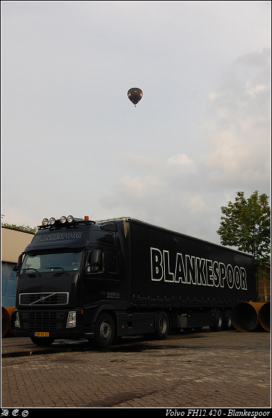 DSC 9580-border Blankespoor - Apeldoorn