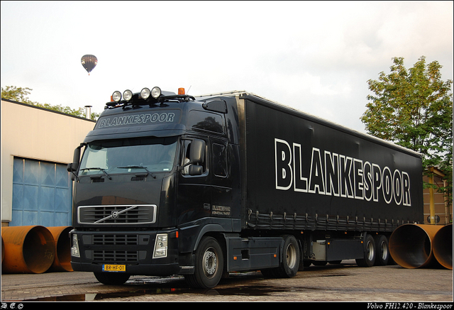 DSC 9588-border Blankespoor - Apeldoorn