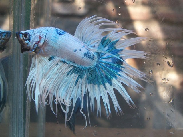 268386 251730388175744 3110179 n - 