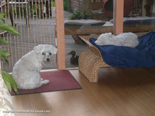 Whitney en Cindy 21-09-08 2 In huis 2009