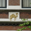 P1000527 - amsterdamsite5