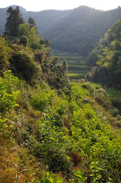  Anhui (å®‰å¾½): de dorpjes