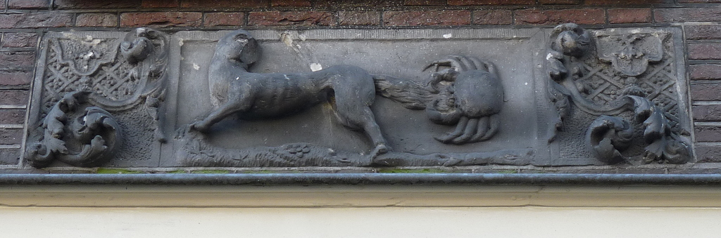 P1000755 - amsterdam-herfst