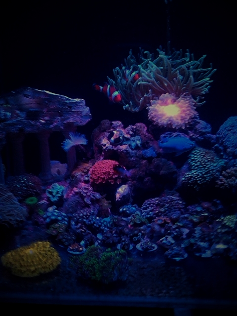 C360 2012-10-12-20-55-49 - 