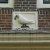 P1000929 - amsterdam-herfst
