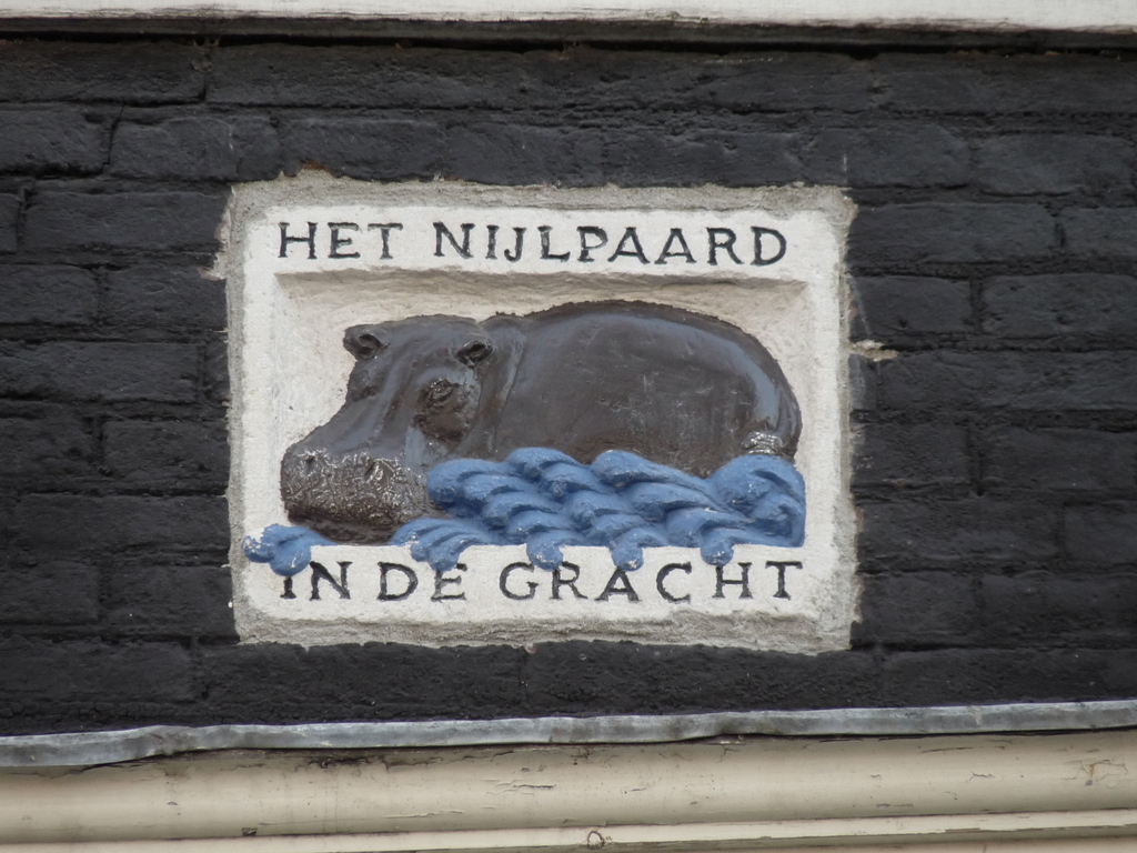 P1000951 - amsterdam-herfst