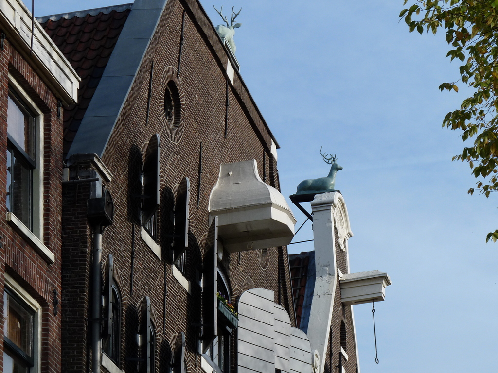 P1000952 - amsterdam-herfst