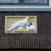 P1000964 - amsterdam-herfst